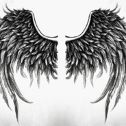 SypN_0 avatar