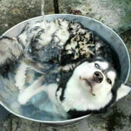 下水道里蹦野迪