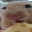 MUNCH Steam avatar