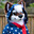 foemoewolf