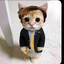 ABOGATO 1-800-999-Gato