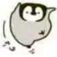 教堂白鸽不会爱上乌鸦