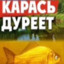 xXx_K.A.P.A.C.Ь_ДYPEET_xXx