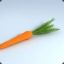 A Carrot