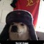 Сука Doogo