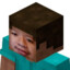 H33