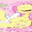 flutterhigh