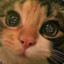 MusicalMeow77
