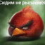 кукарача 3D
