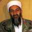 Bin Laden