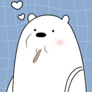 爱吃炸鸡的白熊