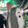 rentys-