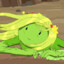 Fern