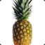 Erect Pineapple