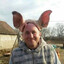 Oink Oink