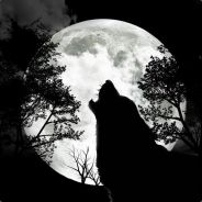 excel - steam id 76561197960303655