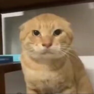 水下放电已黑化