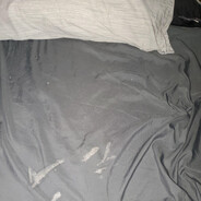 Riley Reids Bed Sheets