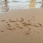 入夏的那个春天