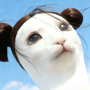 小邢最可爱了啊！