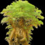 TREANT