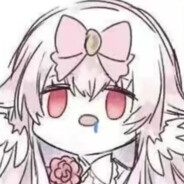 有新的旅行伙伴