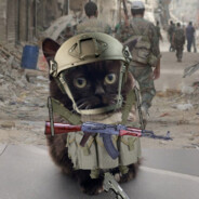 FLARE 代尔祖尔上单