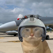 哈基无米无以终余年