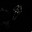 Ghost_Face