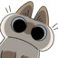小黑猫