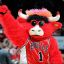 BennyBull