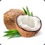 _Coconut_Girl_