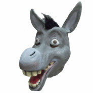 AUTISM Donkey