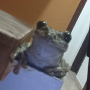 EDMUNDO