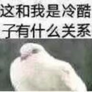 我不过是个路过的鸽子