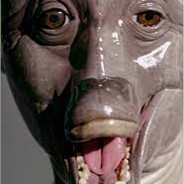 Flippy The Abortion Porpoise
