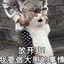 大番薯