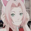 MsSakuraChan