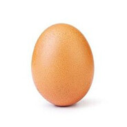 thebestegg