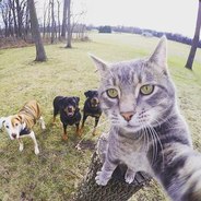 ｎｉｋｏｍｙ ｎｅ ｎｙｊｅｎ