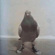 FKNpigeon
