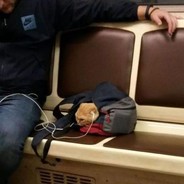 大明湖畔观沧海