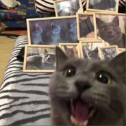 Big Avatar