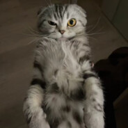 обхаванный