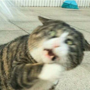 娱乐一下就开始学习