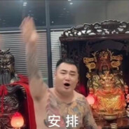 她的蝴蝶久经沙场