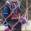 +´65ip´´