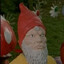 SGT the Gnome