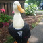 RubberQuack345