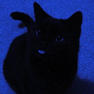Jezzy Steam avatar